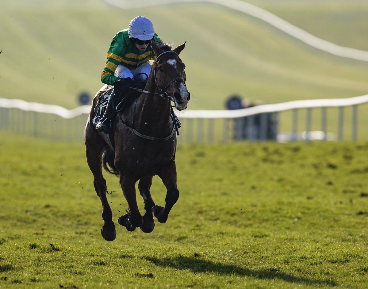 Navan Racecourse tweet media