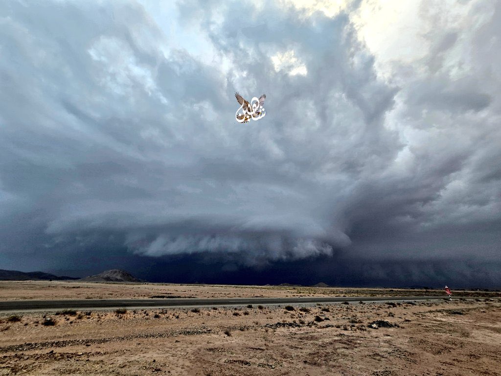 زاهر الشقصي tweet media