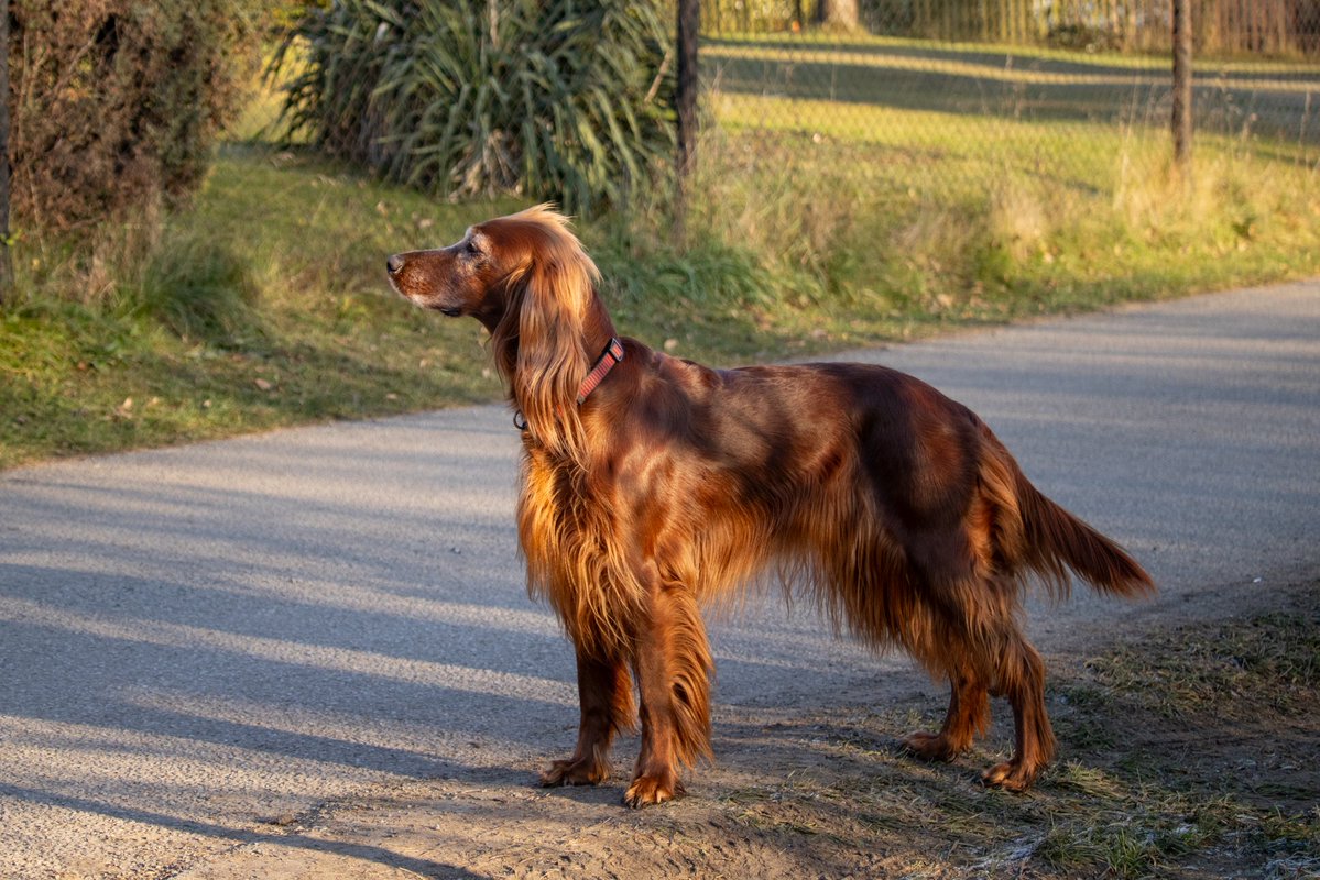Marie Šůchová tweet media