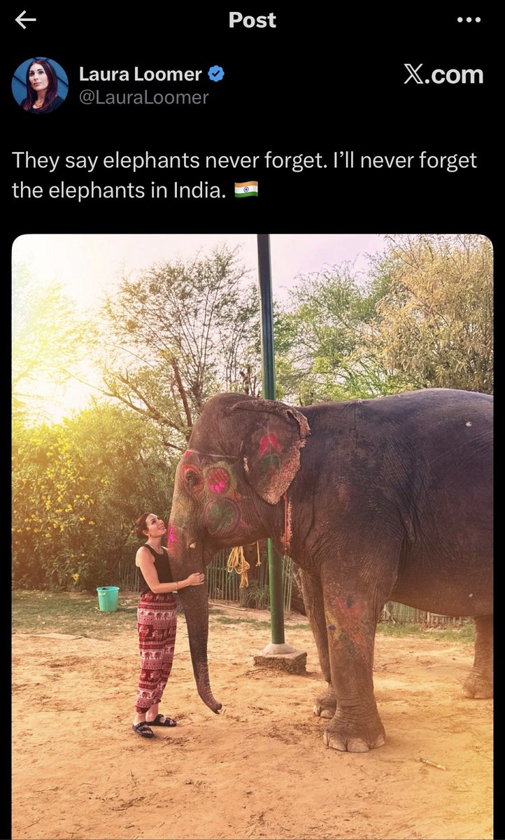 Real Dog 🇺🇸 tweet media