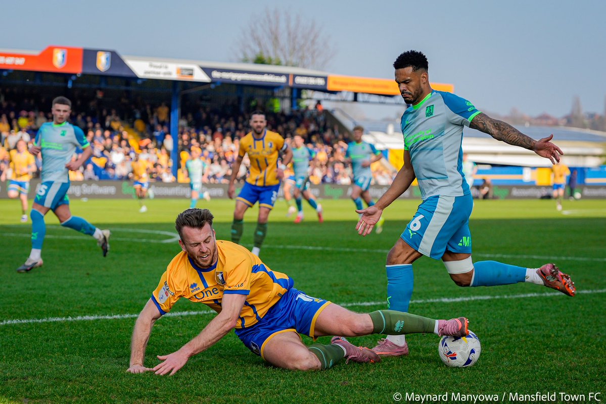 Camera Maynard tweet media