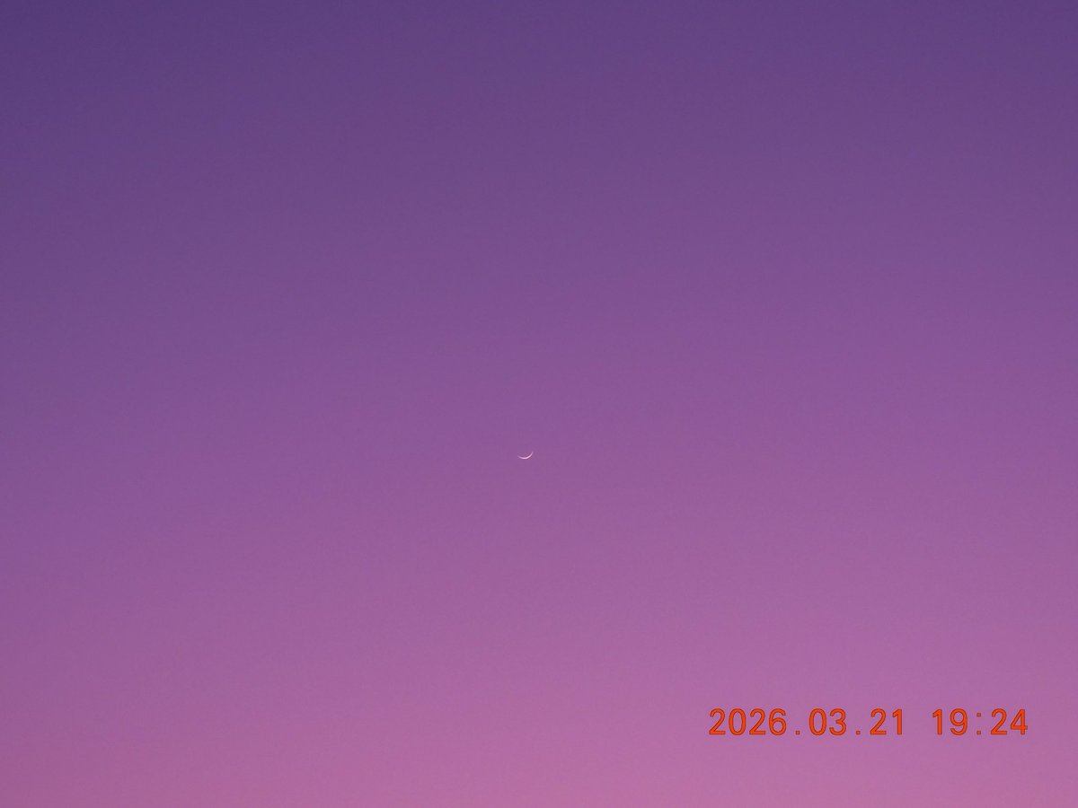 امينة tweet media