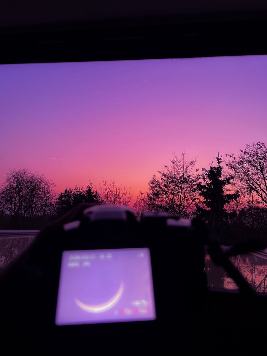 امينة tweet media