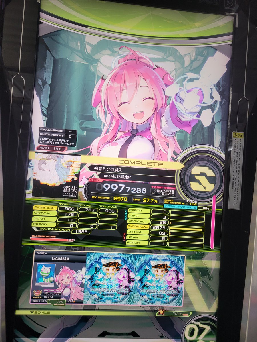 고양이 tweet media