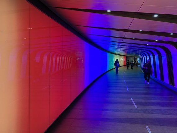 Reiss 🦩 tweet media