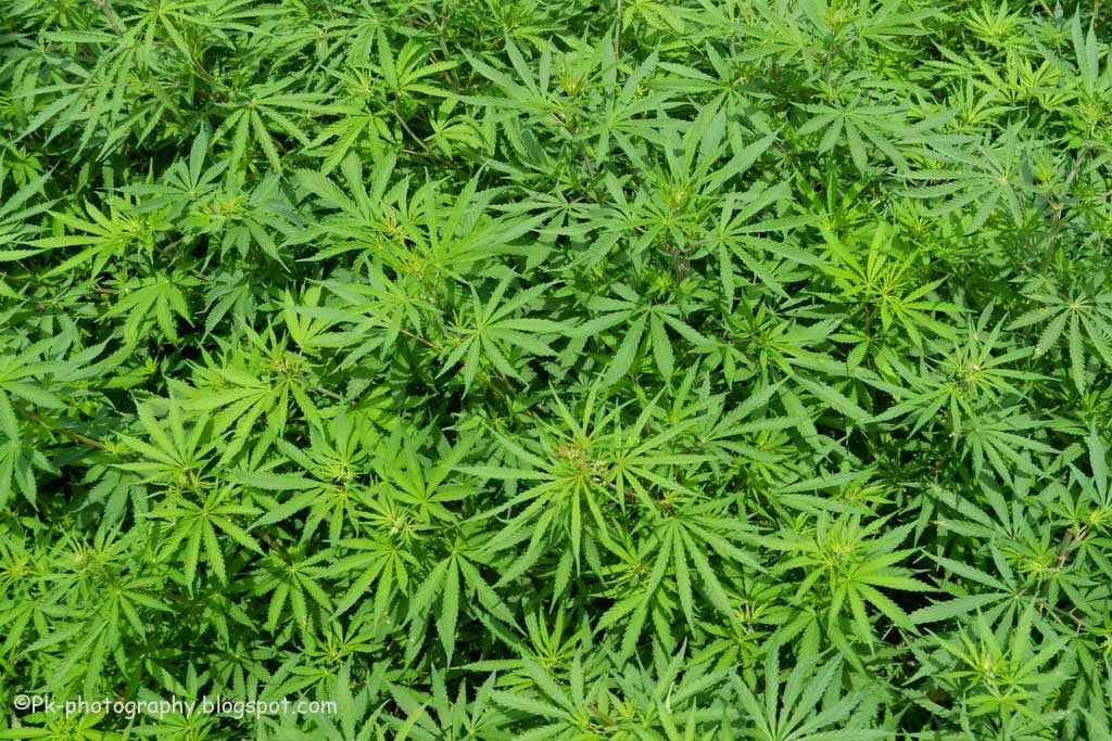 All day Astronomy tweet media