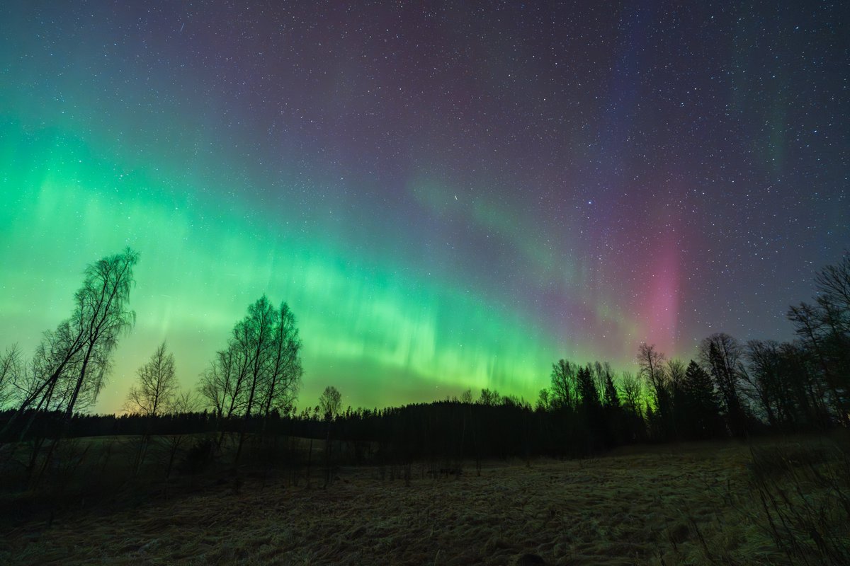 kairokiitsak's tweet image. Northern lights seen from southeastern #Estonia 20.03.2026. #aurora #northernlights #auroraborealis
