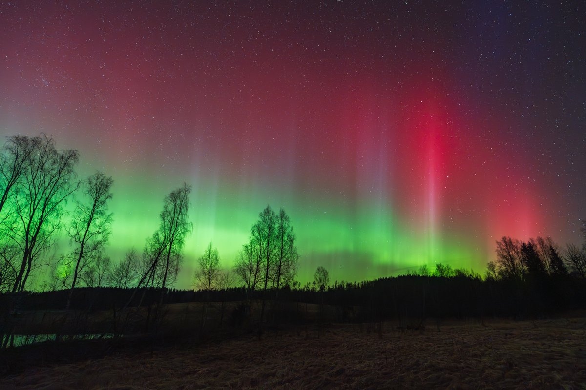 kairokiitsak's tweet image. Northern lights seen from southeastern #Estonia 20.03.2026. #aurora #northernlights #auroraborealis
