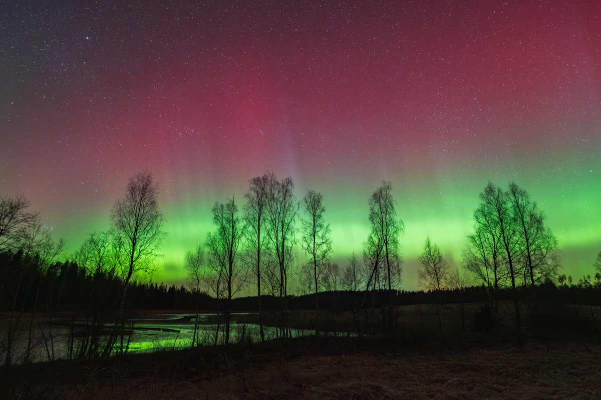 kairokiitsak's tweet image. Northern lights seen from southeastern #Estonia 20.03.2026. #aurora #northernlights #auroraborealis