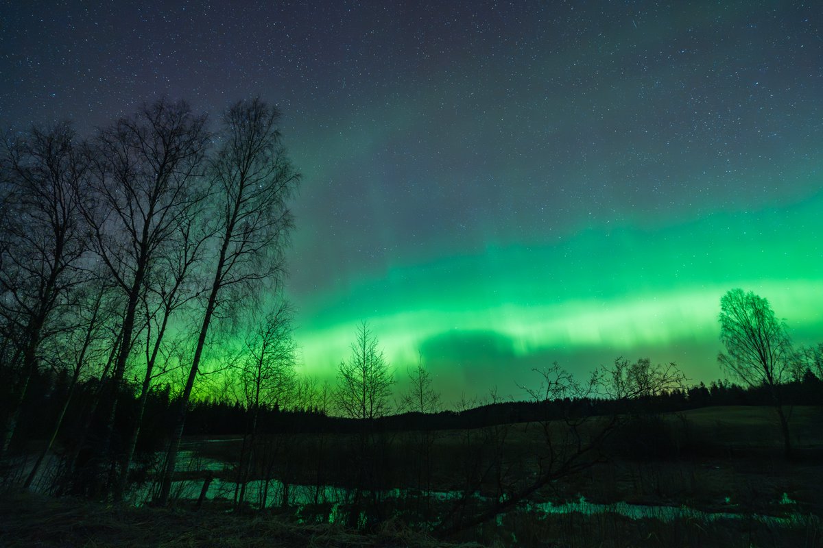 kairokiitsak's tweet image. Northern lights seen from southeastern #Estonia 20.03.2026. #aurora #northernlights #auroraborealis