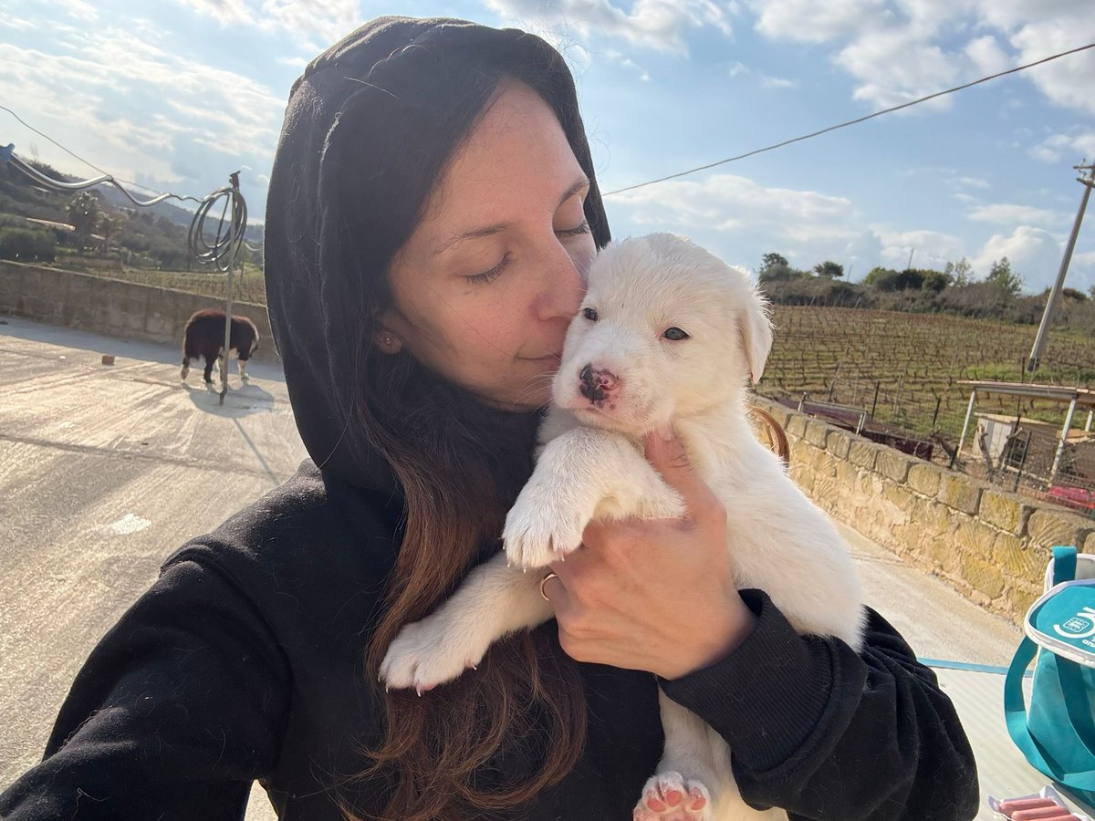 Associazione Ohana: i pelosi di Chiara tweet media