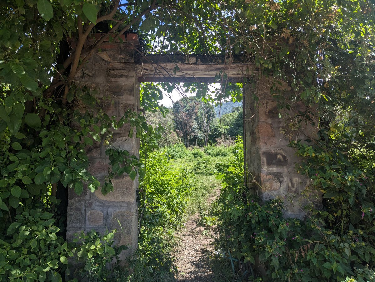 chels! ☻ tweet media