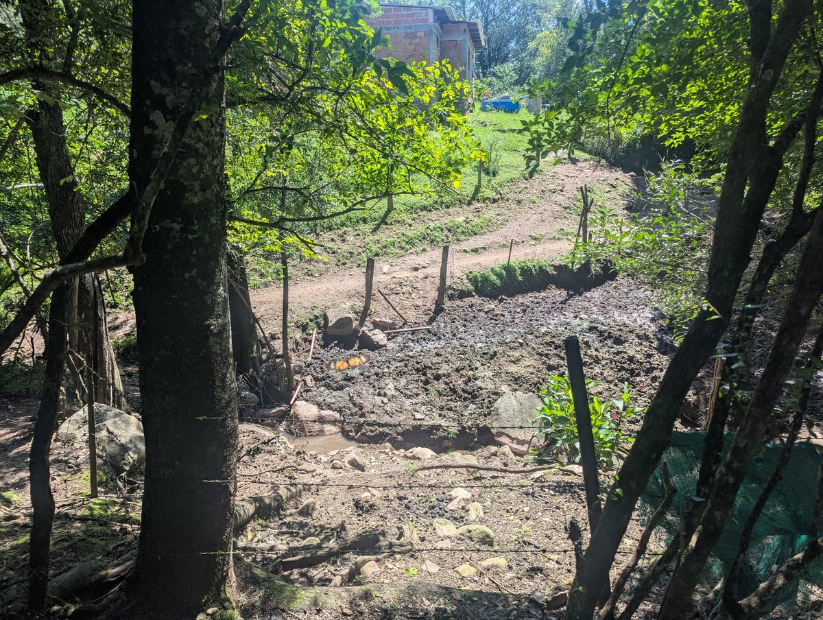 chels! ☻ tweet media