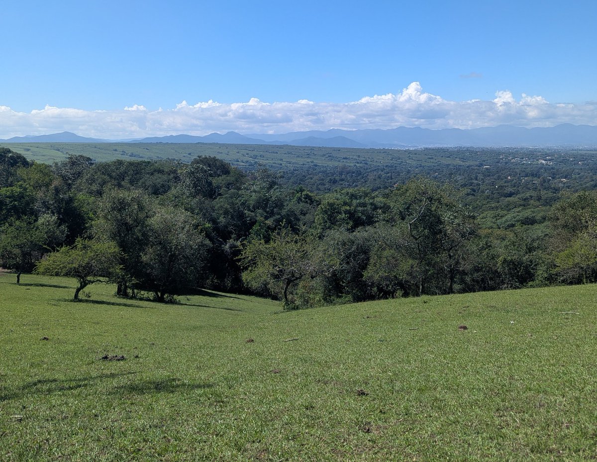 chels! ☻ tweet media