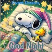 Federica Bortolazzi tweet media