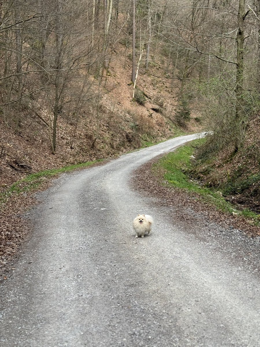 Anastasya 💙💛 tweet media