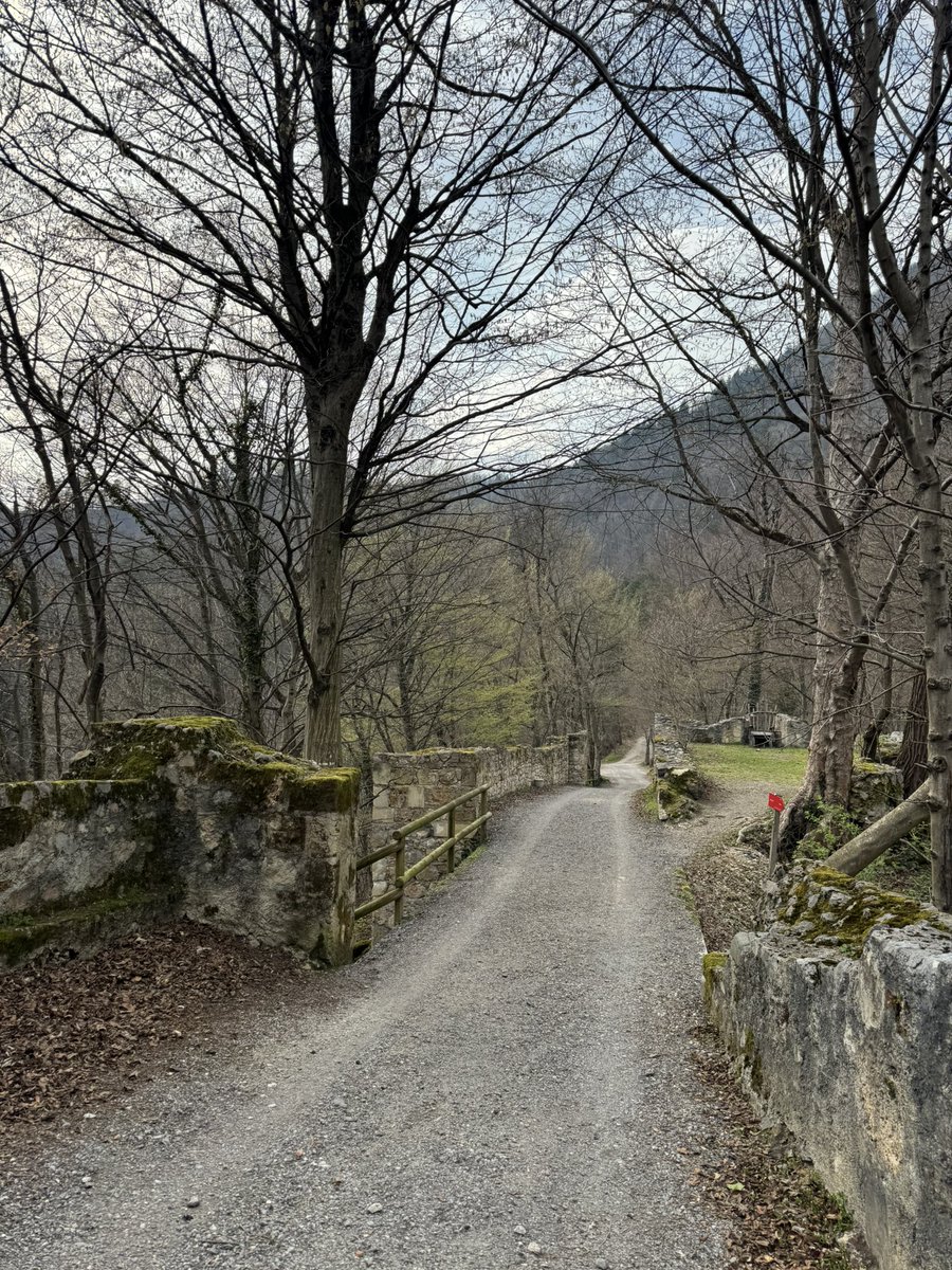 Anastasya 💙💛 tweet media