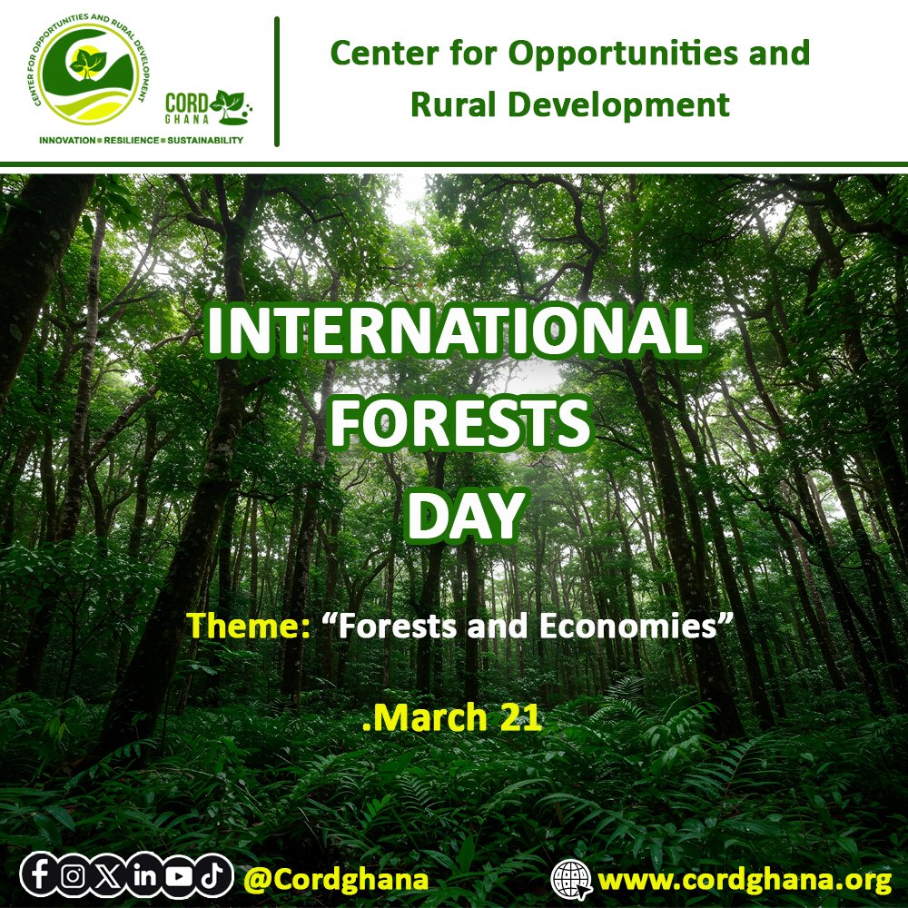 cordghana's tweet photo. Forests are more than just trees—they are the backbone of livelihoods, biodiversity, and sustainable economies. This year’s theme, “Forests and Economies,” reminds us that protecting our forests is key to securing a greener and more prosperous future for all.

At Center for Opportunities and Rural Development (CORD Ghana), we are proud to champion this global movement through our annual CORD Tree Party 🌱. This initiative brings together communities, youth, and partners to:
🌿 Plant and nurture trees
🌿 Promote environmental education
🌿 Strengthen community resilience against climate change
🌿 Support sustainable livelihoods tied to forest conservation

Through the CORD Tree Party, we are not just planting trees—we are growing hope, restoring ecosystems, and building a future where people and nature thrive together.

Let’s all play our part. Protect a tree today, secure tomorrow. 💚

#InternationalDayOfForests #ForestsAndEconomies #CORDGhana #TreeParty #ClimateAction #Sustainability