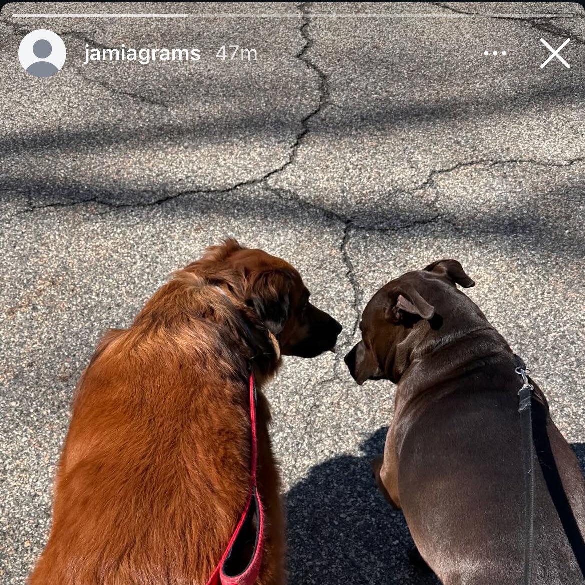 jackie 击̸ tweet media