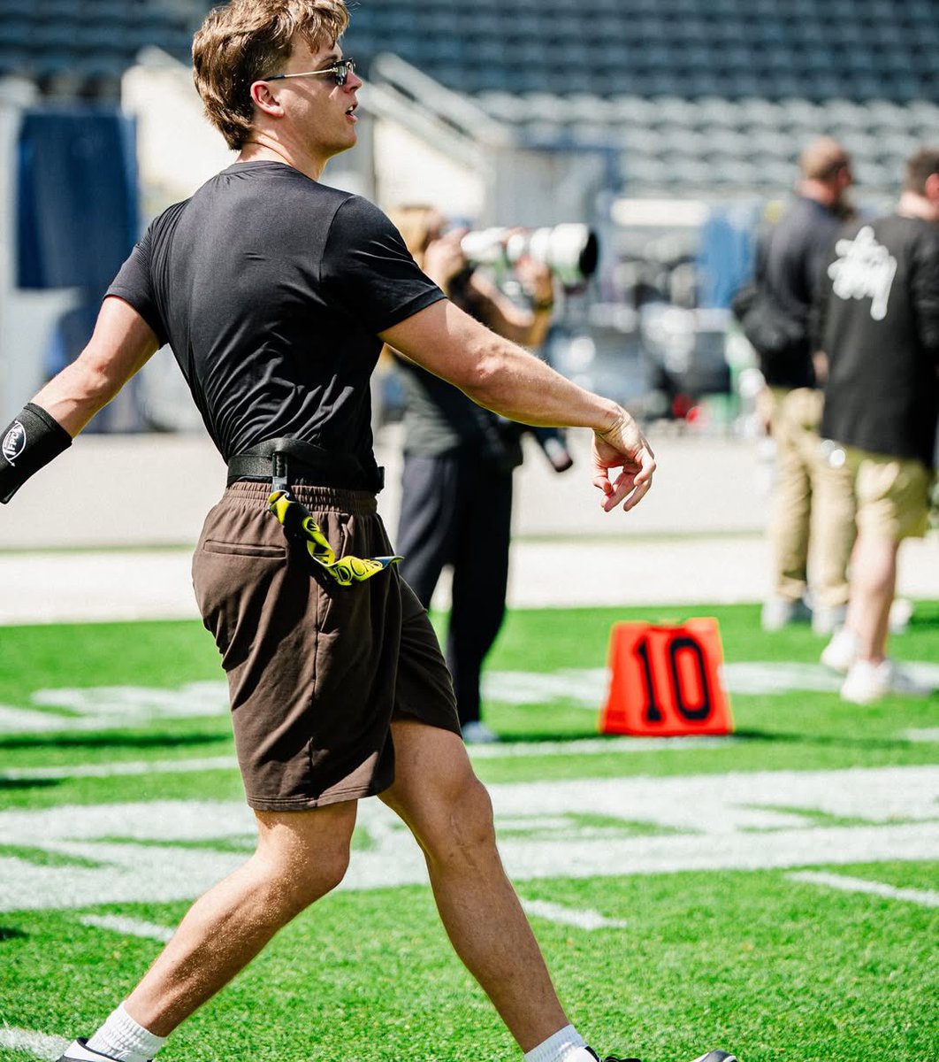 lily 🐅 tweet media