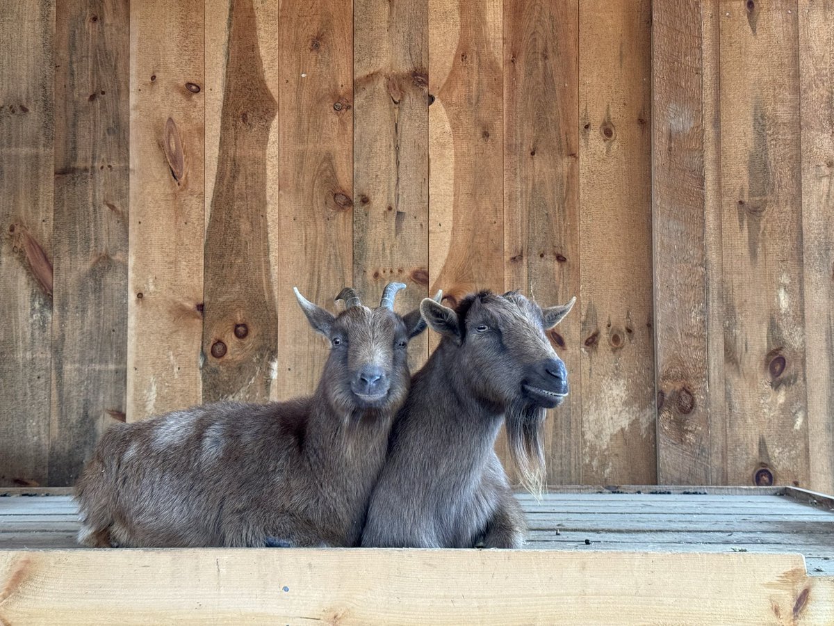 Marc McMullen tweet media