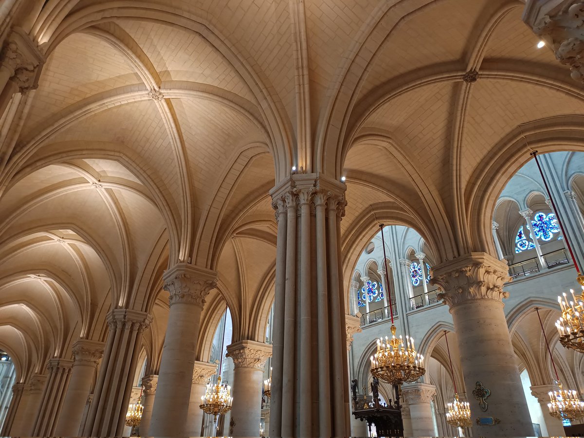 Fish & Dive 🐙'Préservons la Méditerranée' tweet media