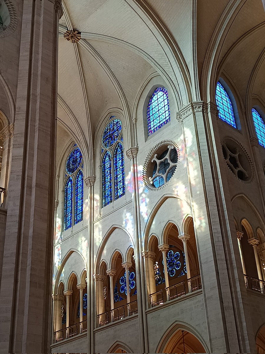 Fish & Dive 🐙'Préservons la Méditerranée' tweet media