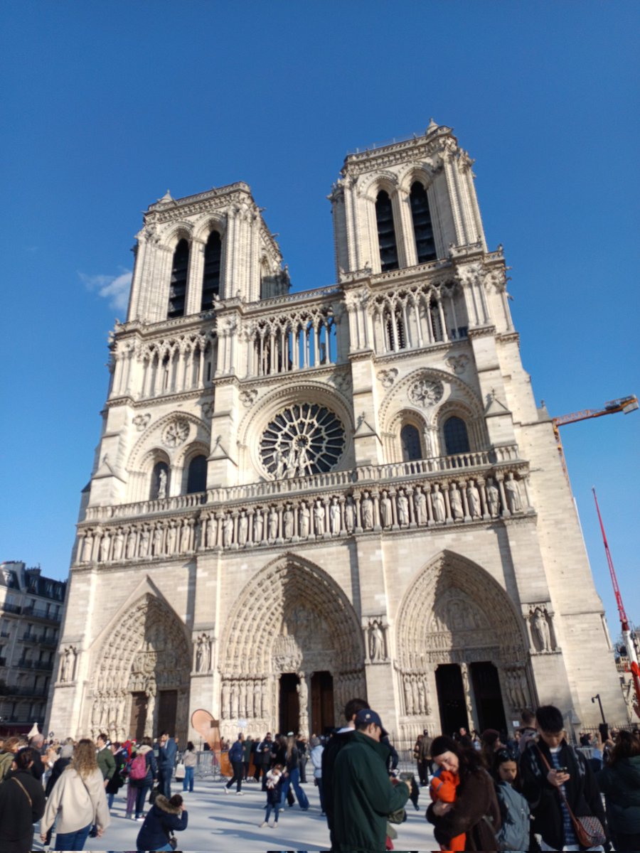 Fish & Dive 🐙'Préservons la Méditerranée' tweet media