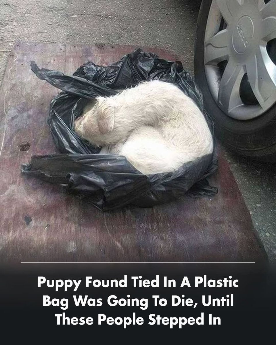 Kristina Bolten tweet media