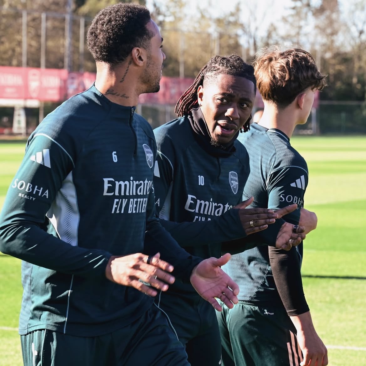 DailyAFC tweet media