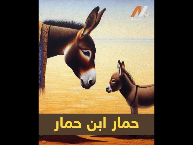 Ali161270's tweet photo. @a7mgaza هو حمار ابن حمار https://t.co/YIEd5W387P