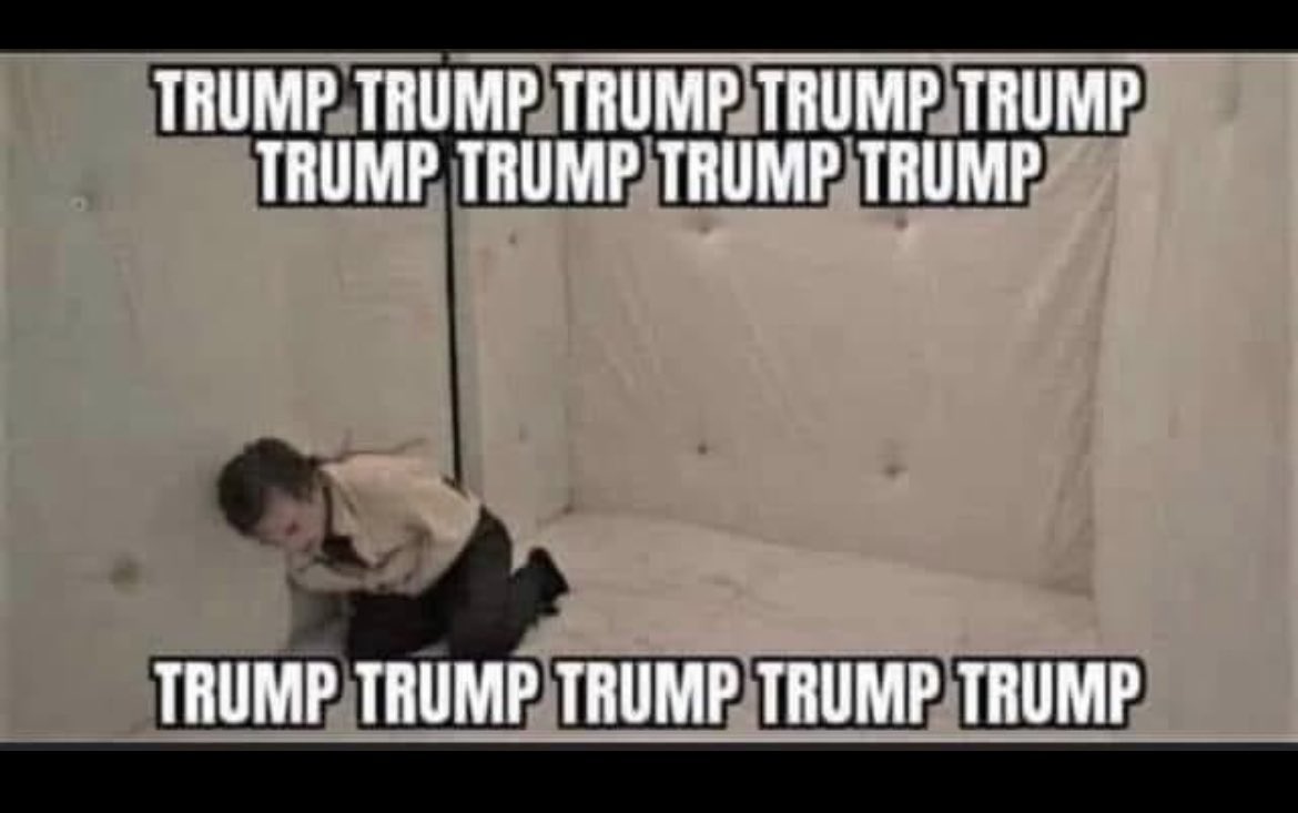 timboline tweet media