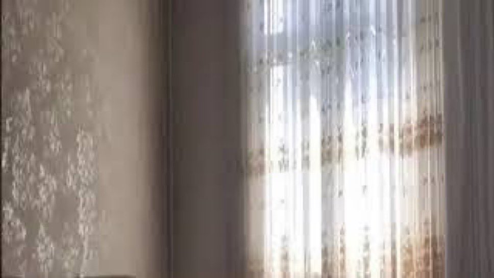 THS Haber tweet media