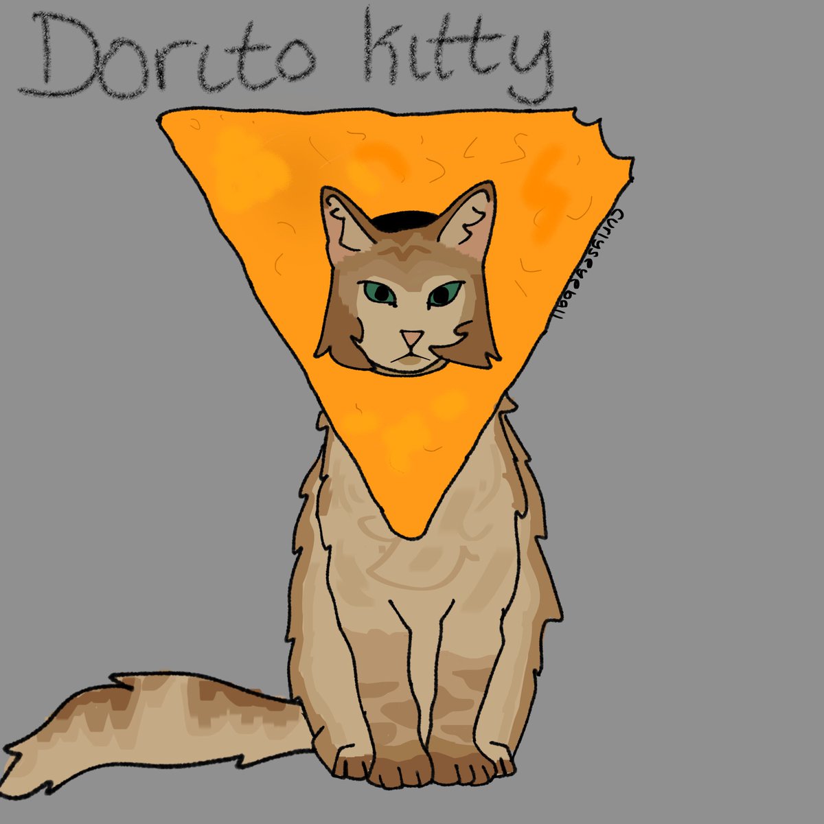 curly (technoblade never dies) tweet media