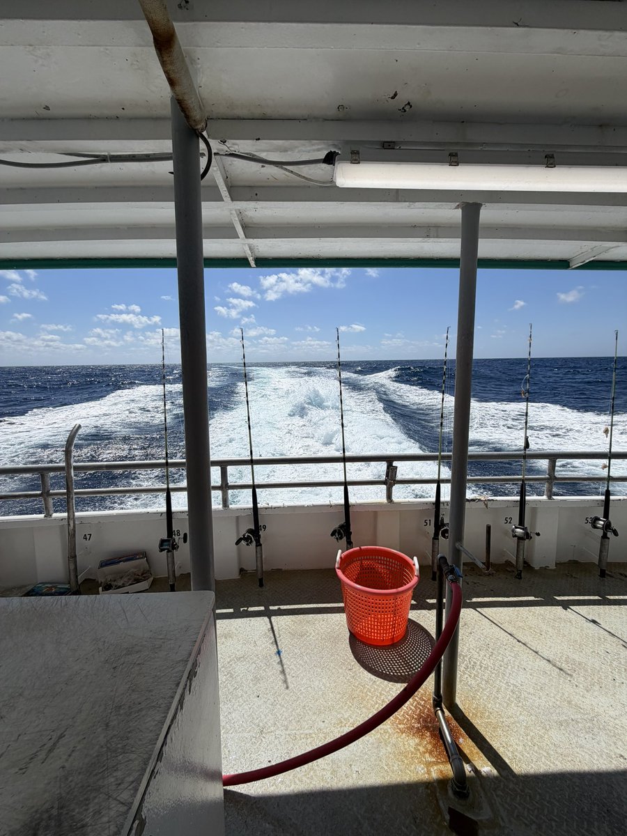 Matt 📹💻 tweet media