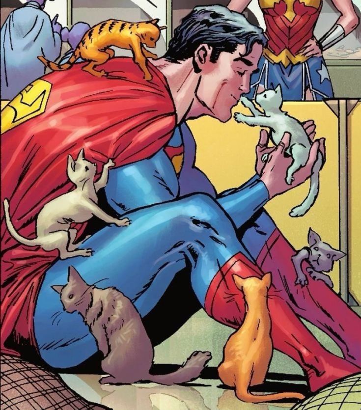 rain 🦇 tweet media