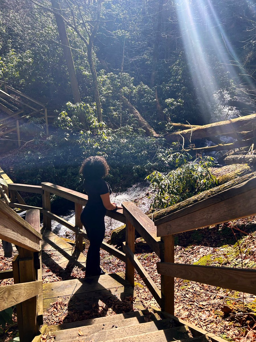 Ramona Yacelyn Johnson tweet media