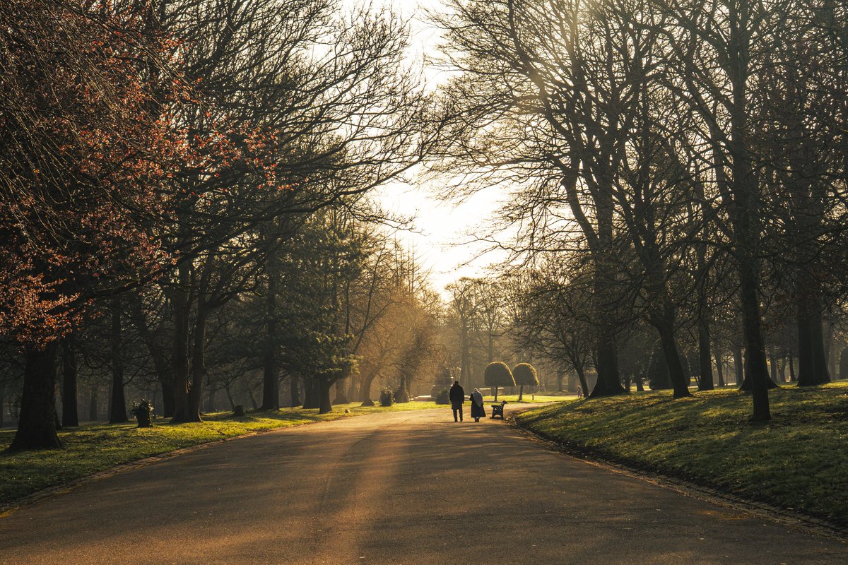 Niko 🈲 tweet media