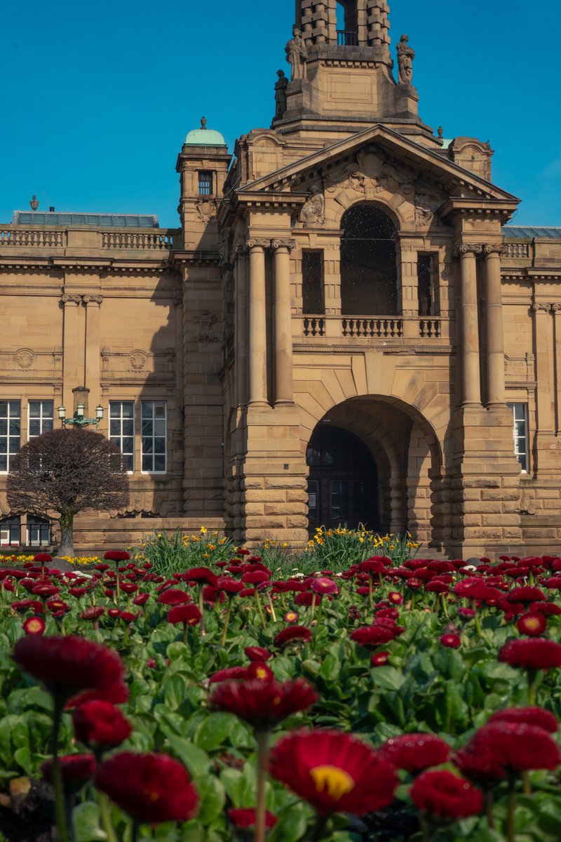 Niko 🈲 tweet media