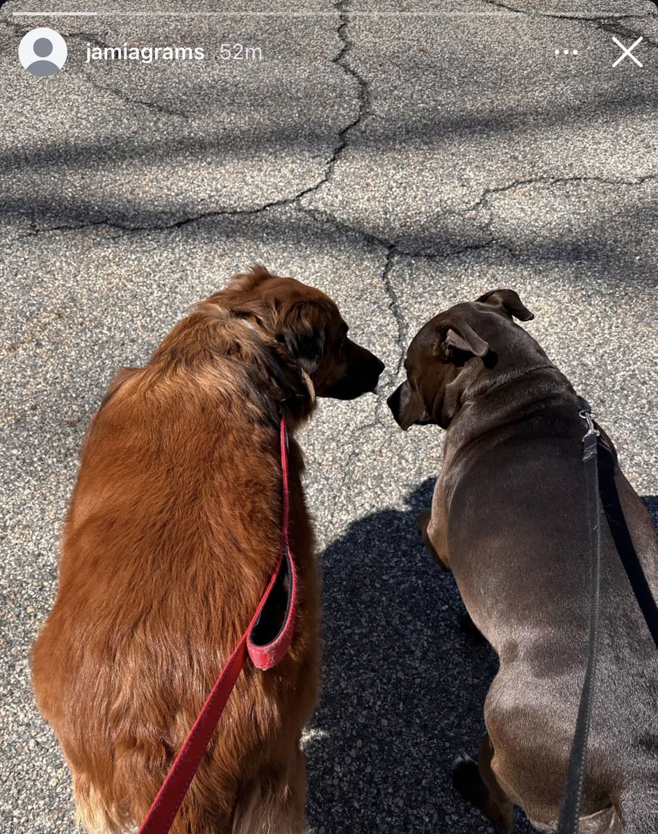 avery 🗡️ mcr nashville + ltl tweet media