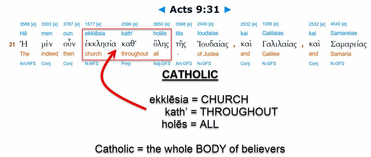 Marcado Razon (Biologist) tweet media