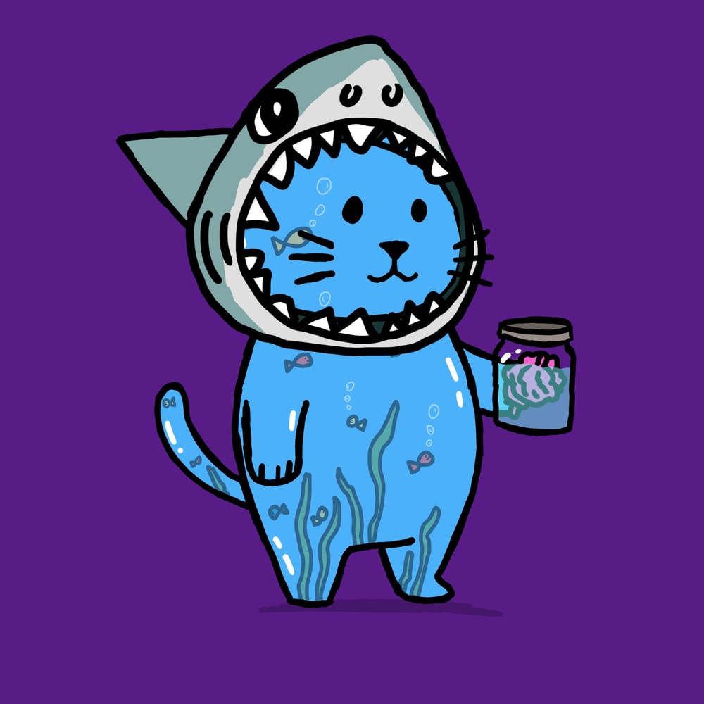 shittykitties.algo tweet media