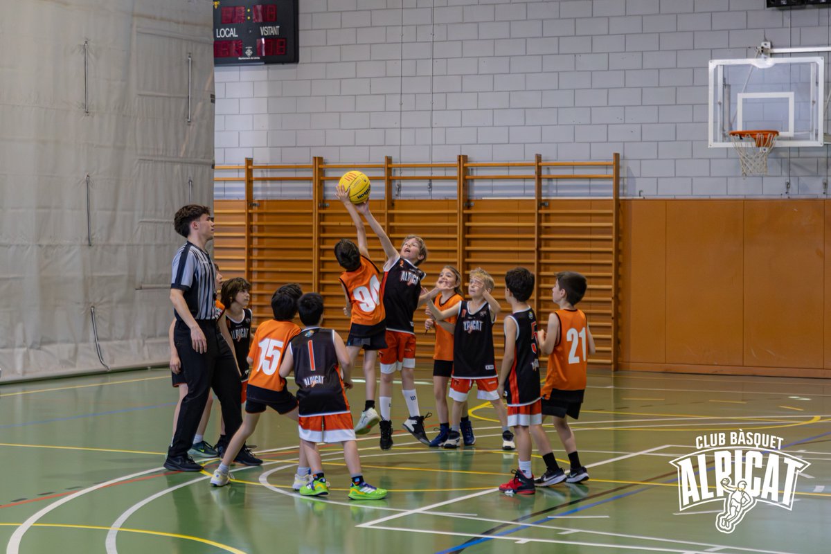 CbAlpicat tweet media