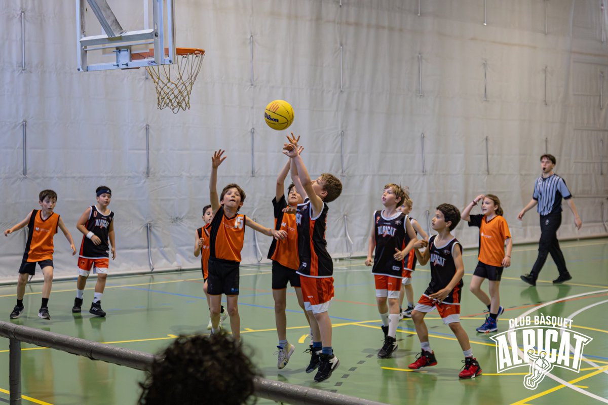 CbAlpicat tweet media