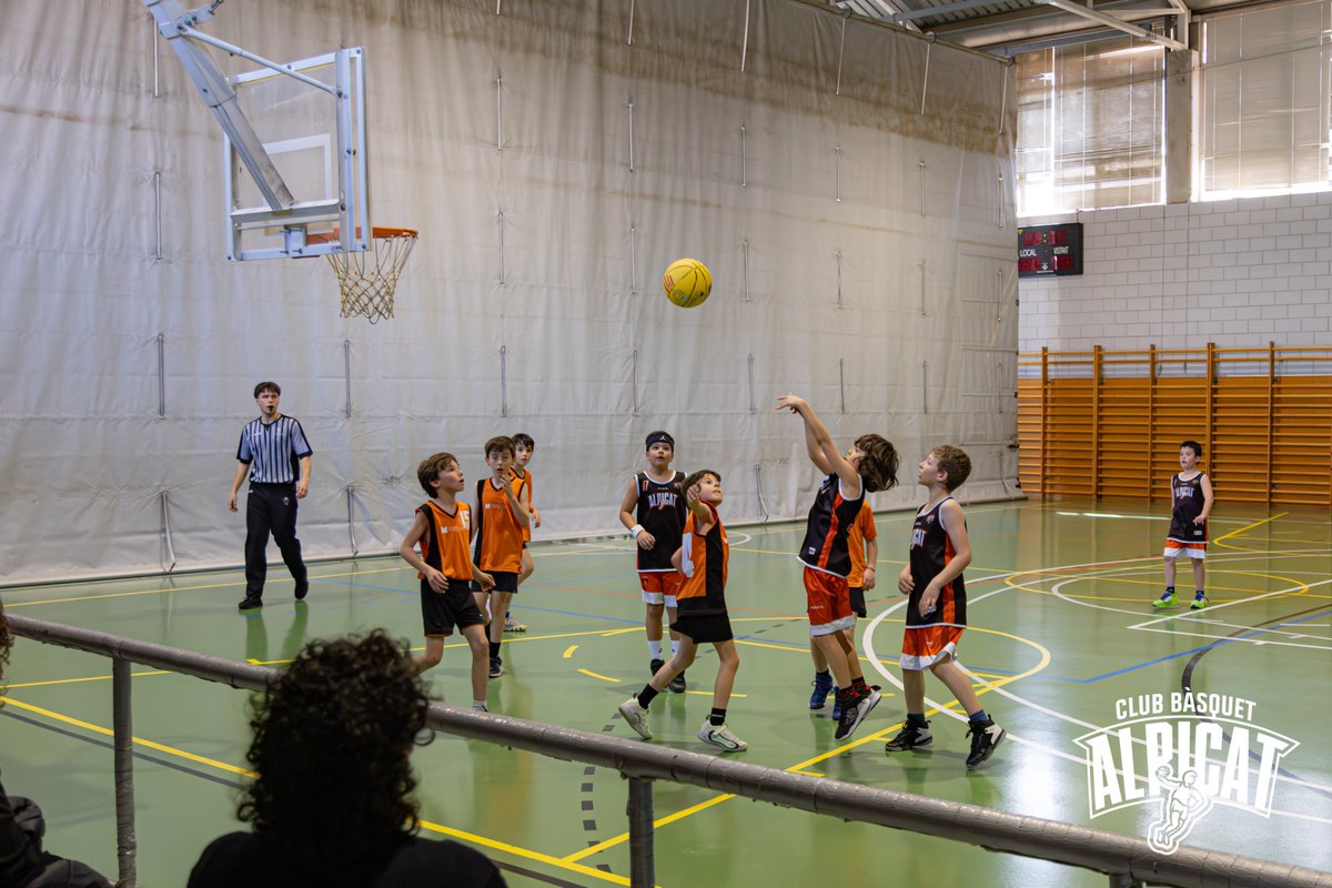 CbAlpicat tweet media