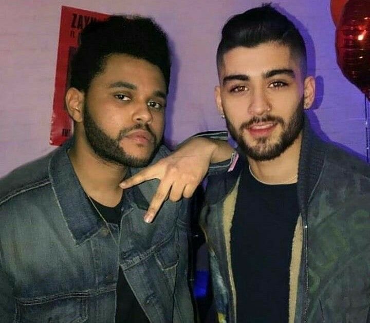 darkzmalik tweet media