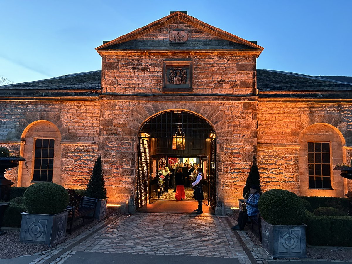 Ali Wilson tweet media