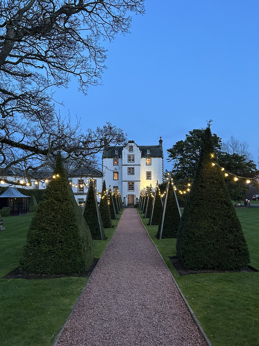 Ali Wilson tweet media