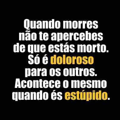 CRISTINA PEREIRA tweet media