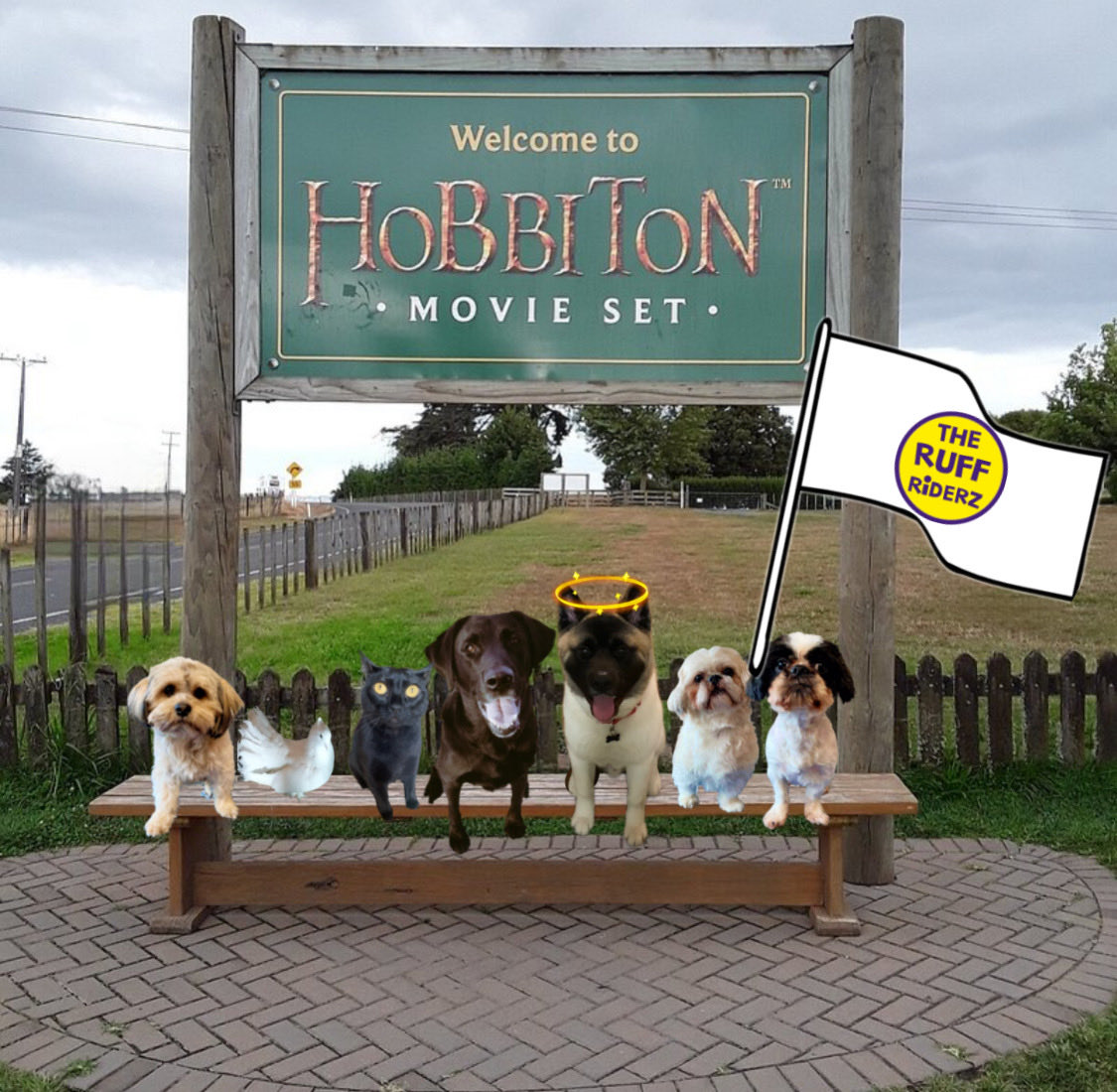 Wilbur the Wonder & Ernie the Explorer tweet media